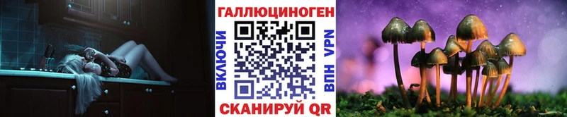 Галлюциногенные грибы Cubensis  Северо-Курильск 